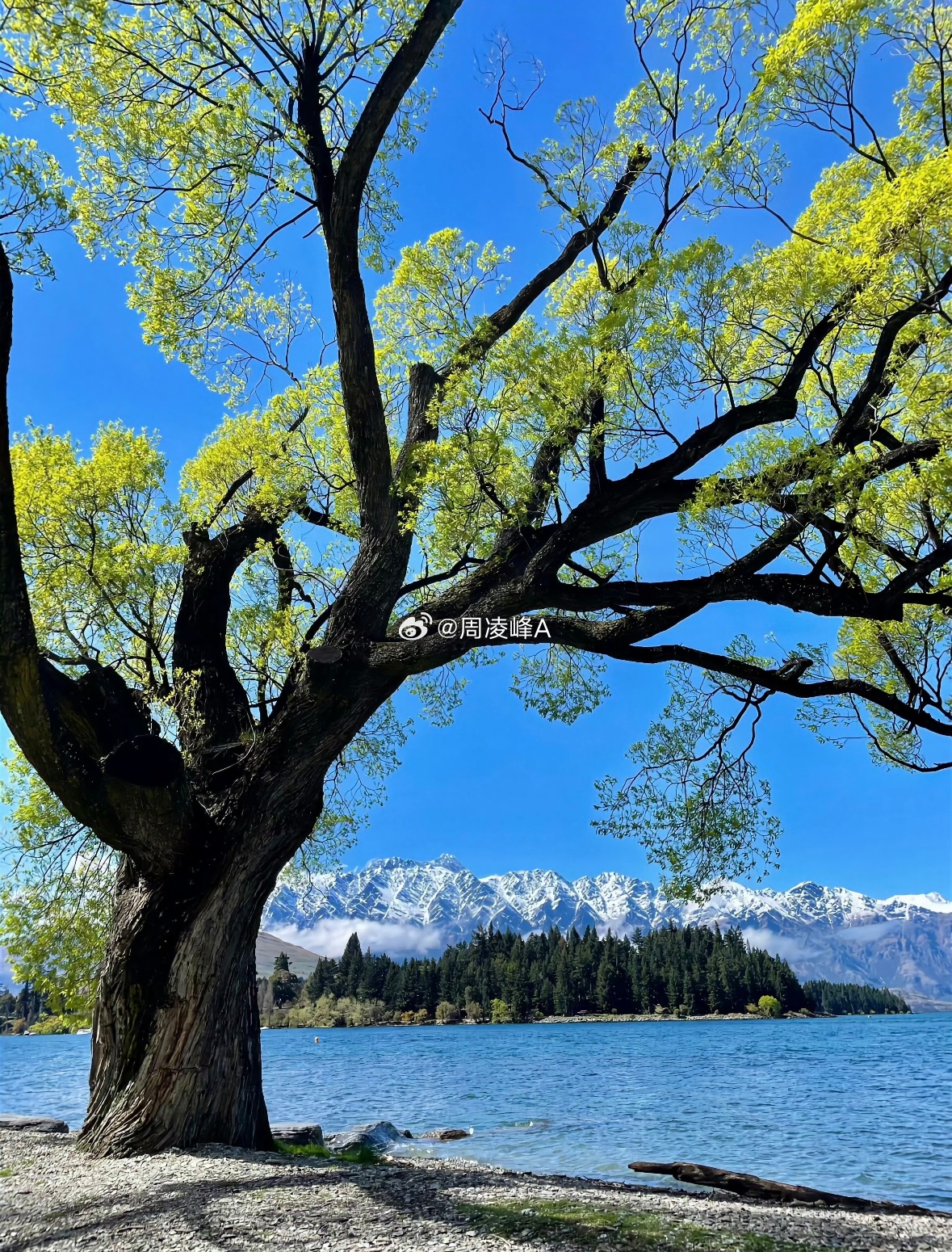 每日一善，愿前路光明，万事可期每日一善阳光信用 