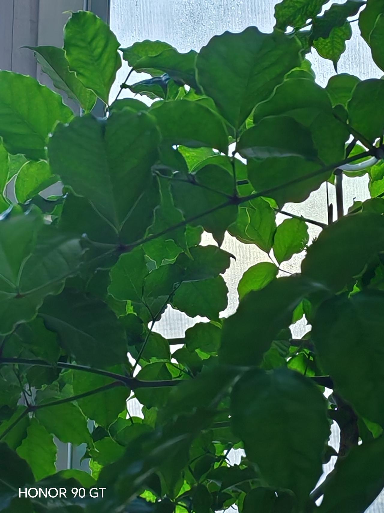 春天花会开，
快乐每一天。