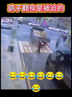 笑死！鹞子翻身是被迫的……

摔倒那一下我没笑，但后面那一下是真的没忍住！
女子