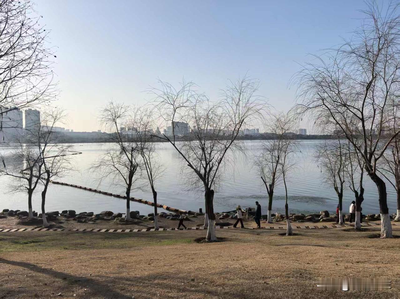 财运亨通： 湖水清深，藏纳百川之势；骏马奔腾，开启万利之途。丙午春节，愿这开阔的