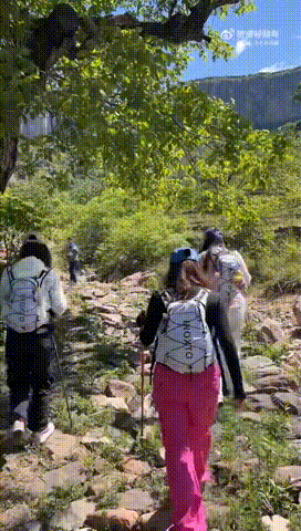 4人48小时徒步400多公里 这个赛事结果太震撼了，四人小队在阿尔山徒步赛登顶，