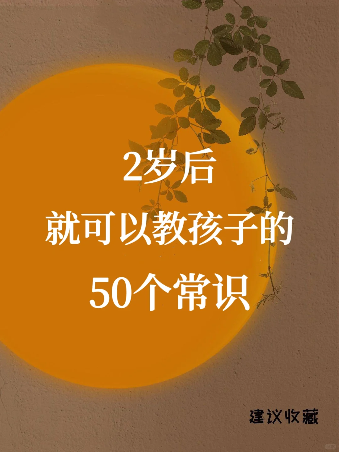 🌟2岁后就可以教孩子的 50个常识