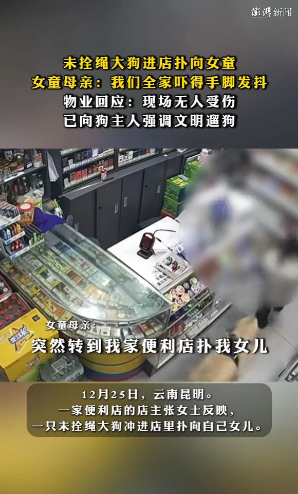 “必须严惩！”12月25日，云南昆明，一女子带女儿看店时，突然冲进来一只未拴绳的