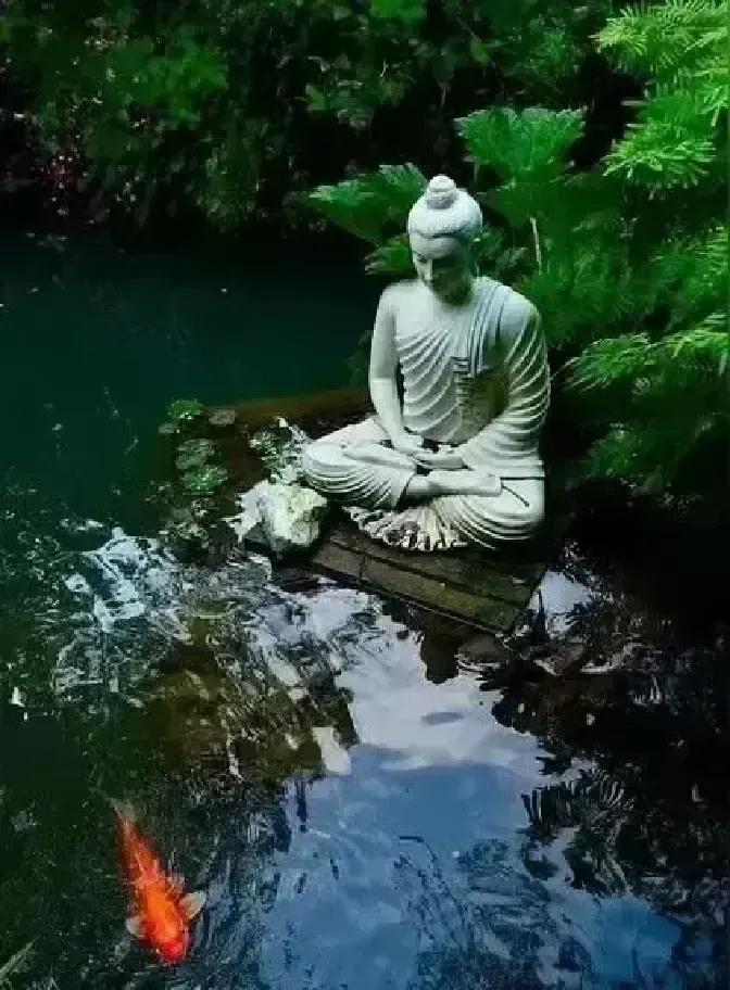 昨晚刷到李连杰在论坛把黄花挪开的视频，我直接暂停三秒。
那花摆得正对胸口，镜头一