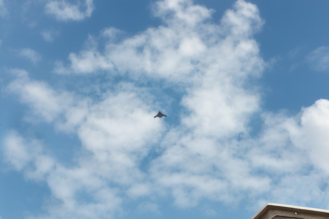 中国无人版战略轰炸机首飞了！
 
大小和B21差不多，看这肚皮，没有飞行员，估计