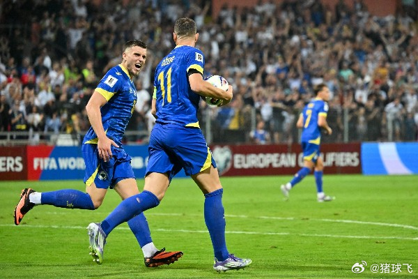 明日决战意大利，波黑真能只靠哲科？波黑将在周二与意大利展开生死战。外界总爱把焦点