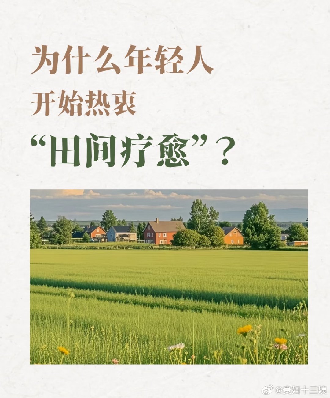 高敏感人都去学农吧心思细腻敏感的人总容易精神疲惫，农耕是绝佳的解压方式。专注耕耘