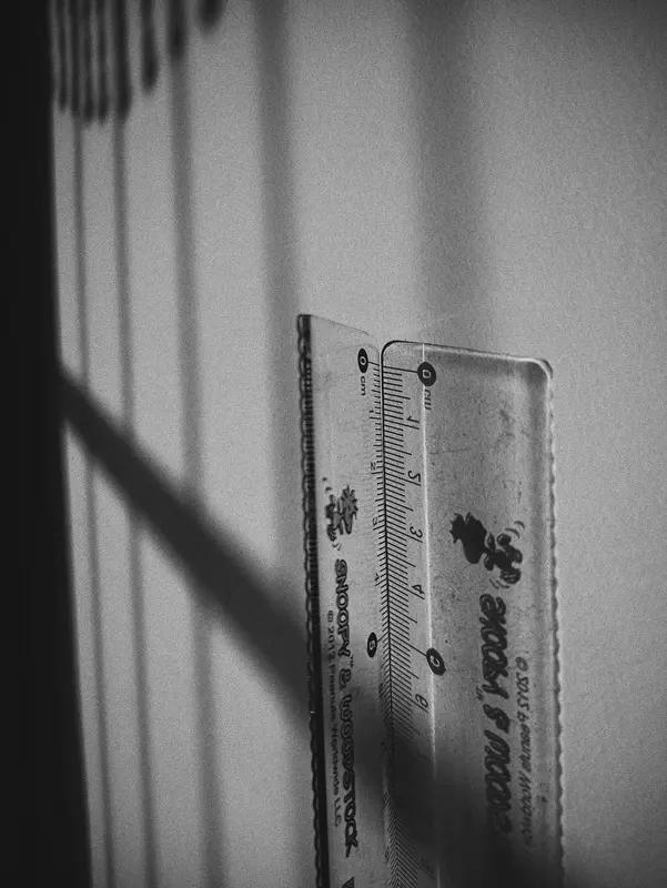 成年人交友准则，记住这几点就够了

成年人的友谊，贵在分寸：有事互相吐槽共情，无