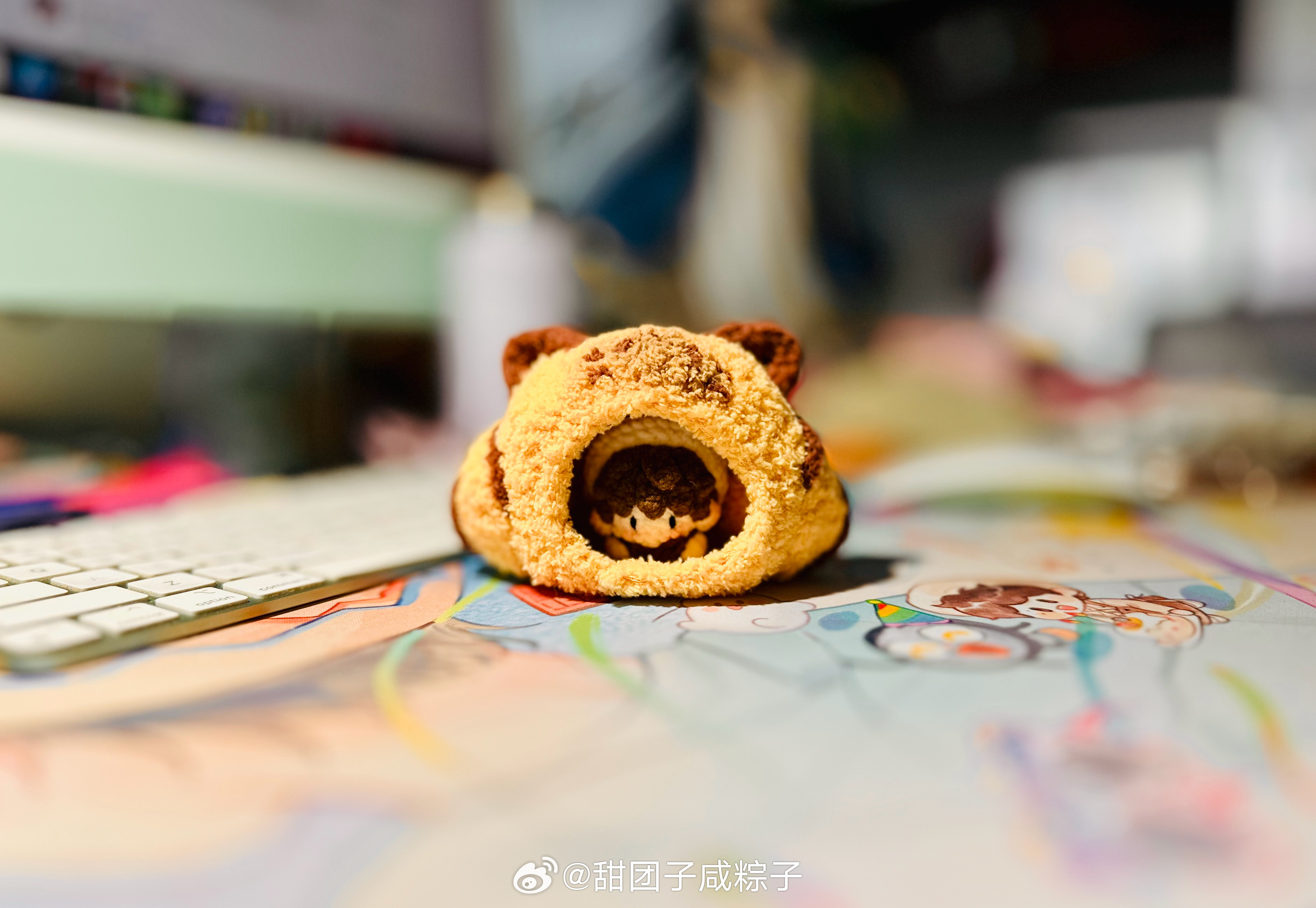 突然出现！？小小可的新窝coco&nono 