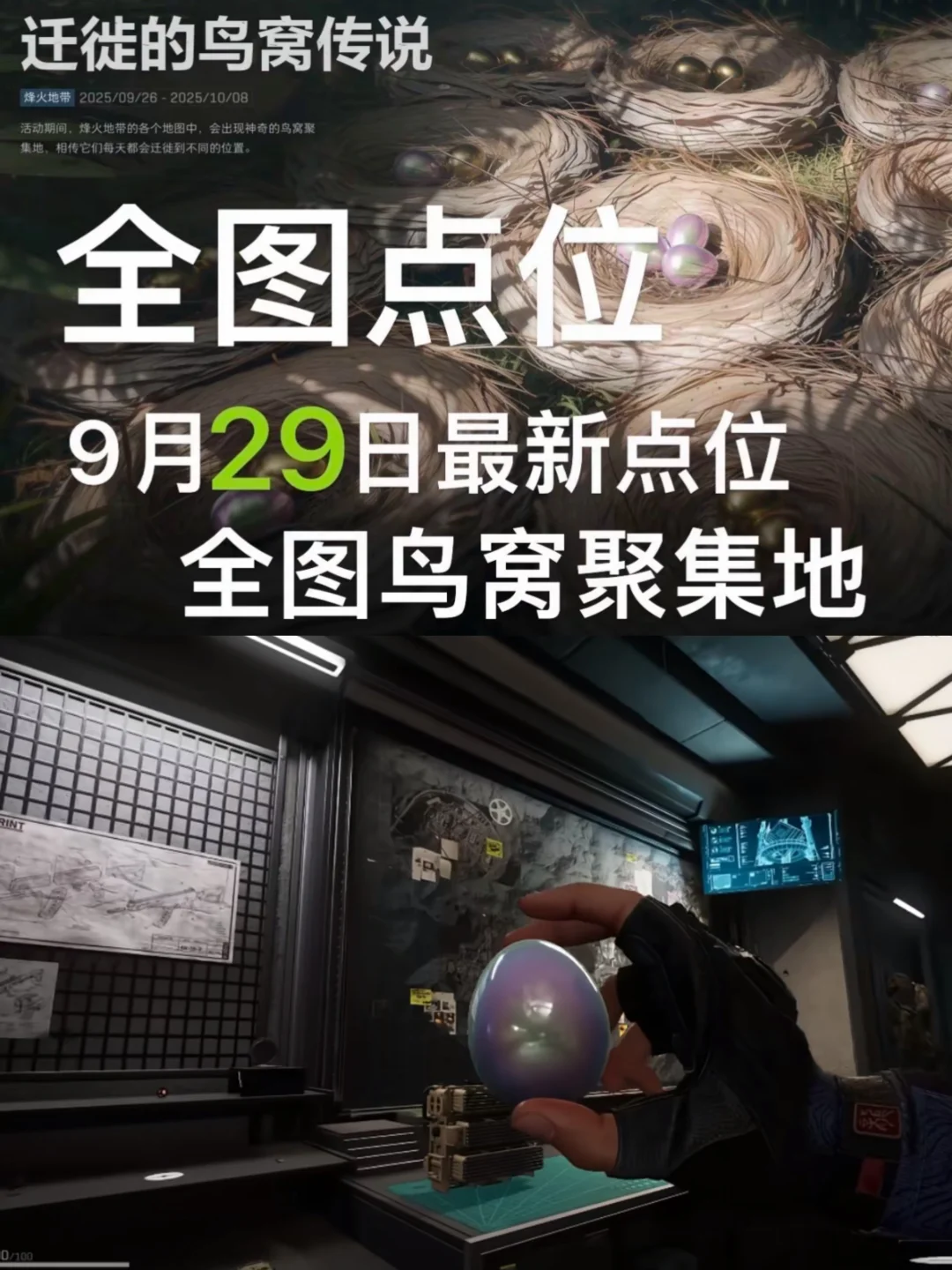 揭秘三角洲9月29日最新点位全图鸟窝聚集地！
