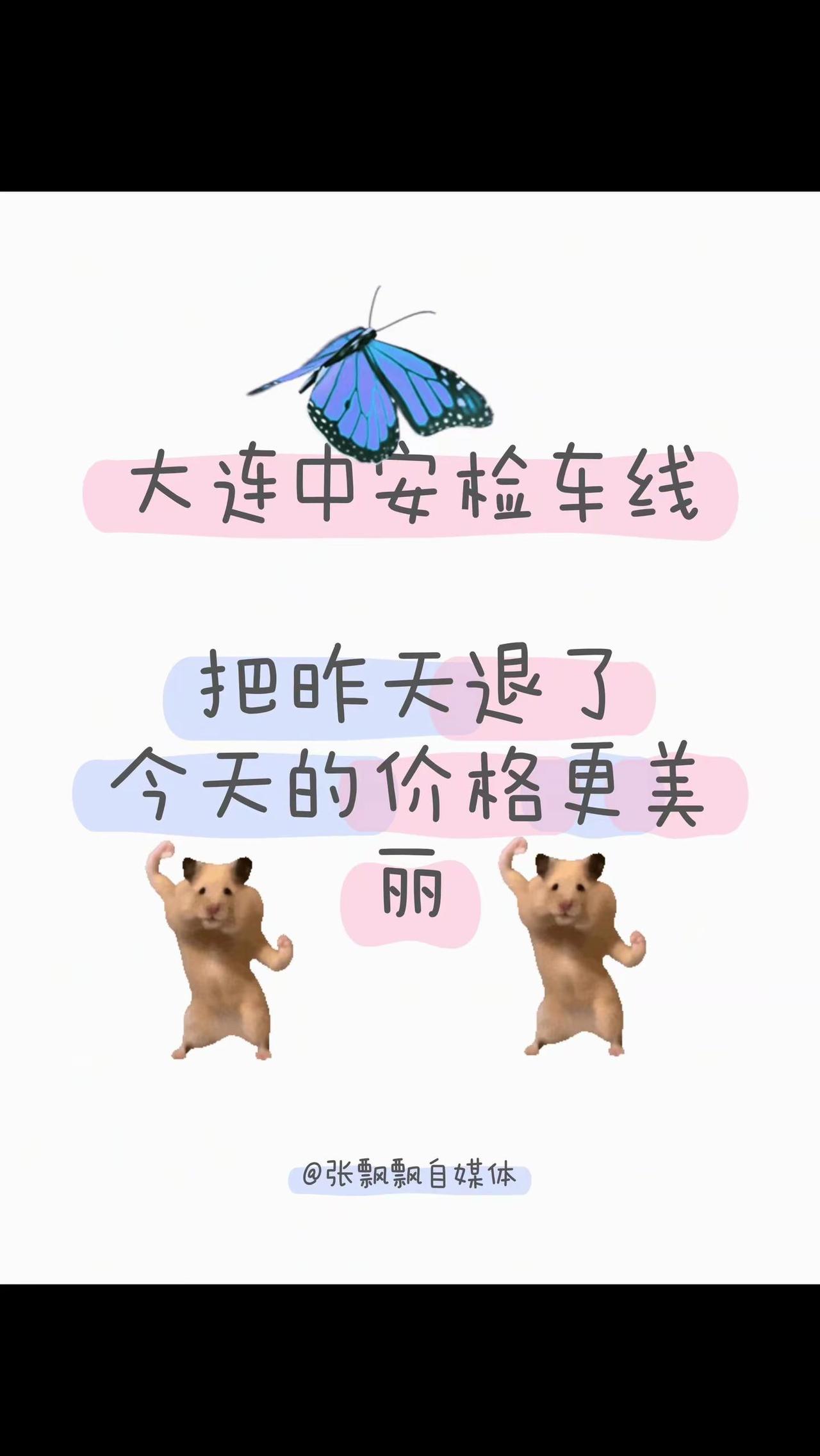 大连中安检车线把昨天退了今天的价格更美丽安车检测 汽车检测线 安捷机动车检测站 