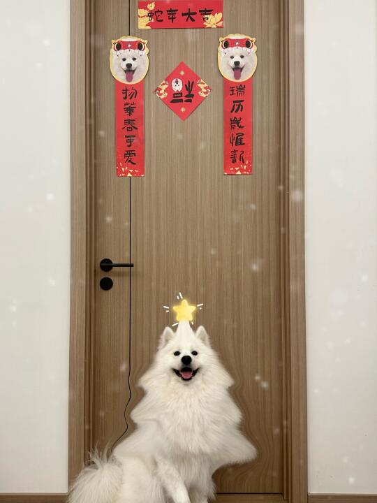 谁能拒绝一颗耶树🎄 ིྀ