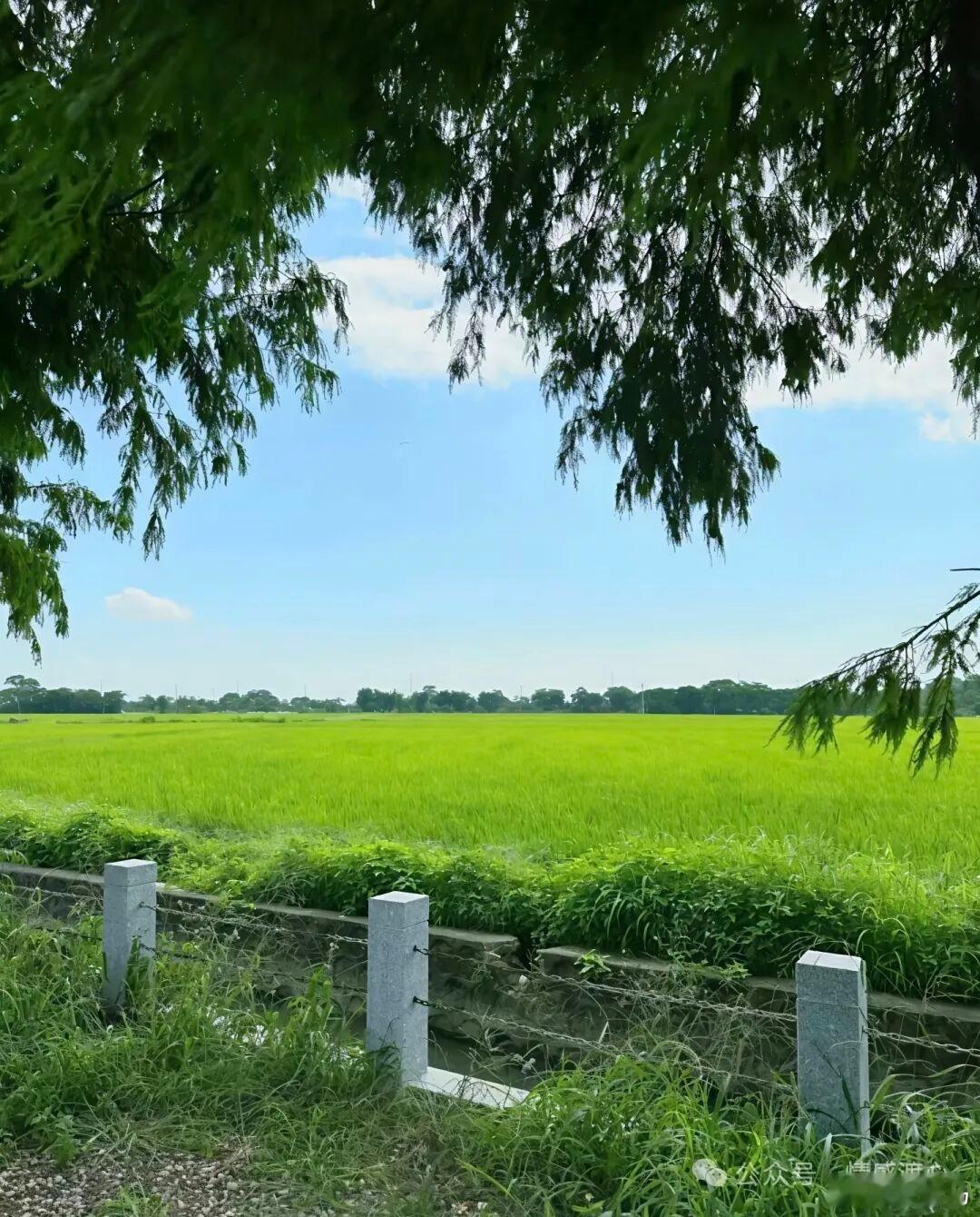 我们很少去想所拥有的，却经常去想所缺少的。       ——叔本华读书读书笔记多