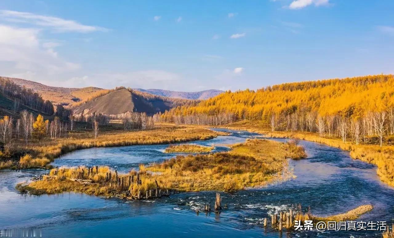 何谓法治？并不是政府用法律管理国家(那是法制)，进行社会治理，而是选民通过选举，