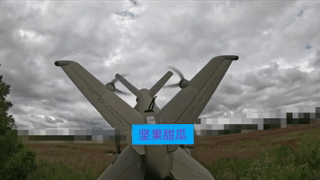 一位代号为“达瓦”的士兵，用拦截巡飞弹作战，弹发鸟落。

要是在西部平原地区布置