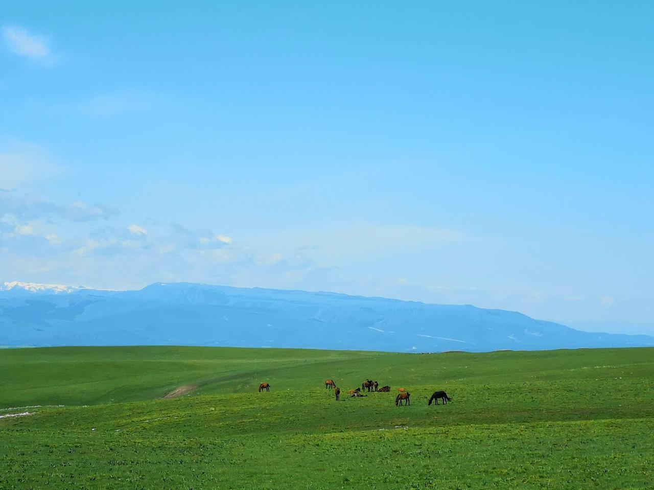我们有很多的年轻的姑娘天天说要找一个年入百万的人，他是没有脑子的，为什么这么说？