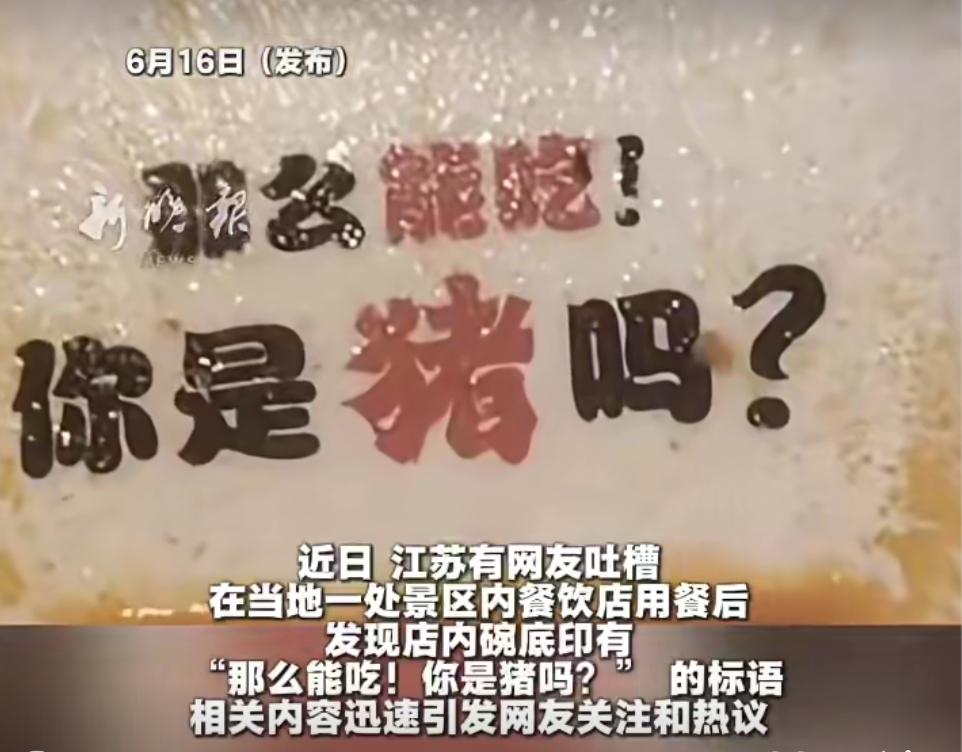 “那么能吃，你是猪吗？”江苏常州，顾客在景区餐馆快吃完饭时，发现碗底赫然印有“那