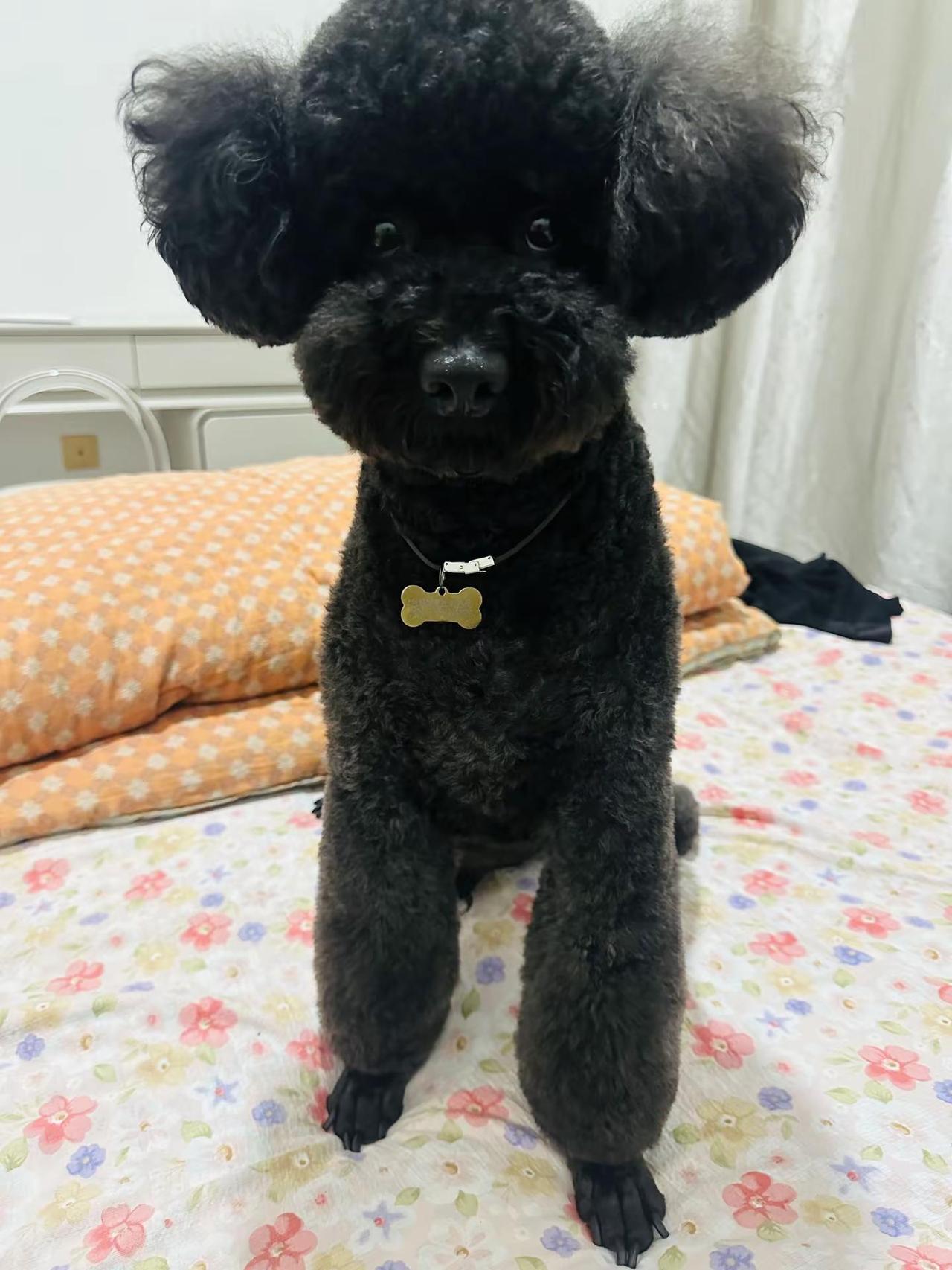 我叫：“大百万！”