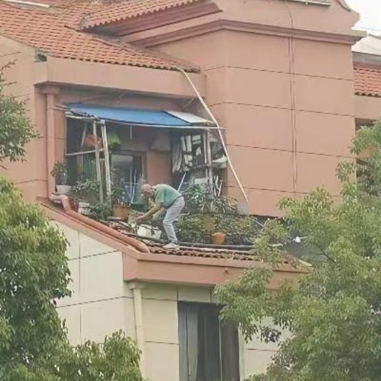 真心想问大爷：这花是非养不可吗？
 
看到这一幕看得我心惊肉跳，实在太危险了！