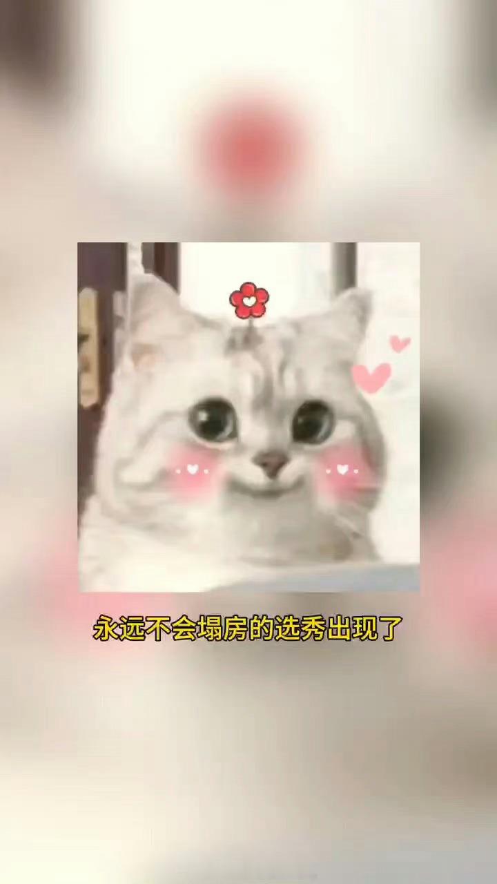 #杜华把选秀的风吹到了猫咪届##杜华从内娱教母变成内鱼教母# 杜华把选秀的风吹到