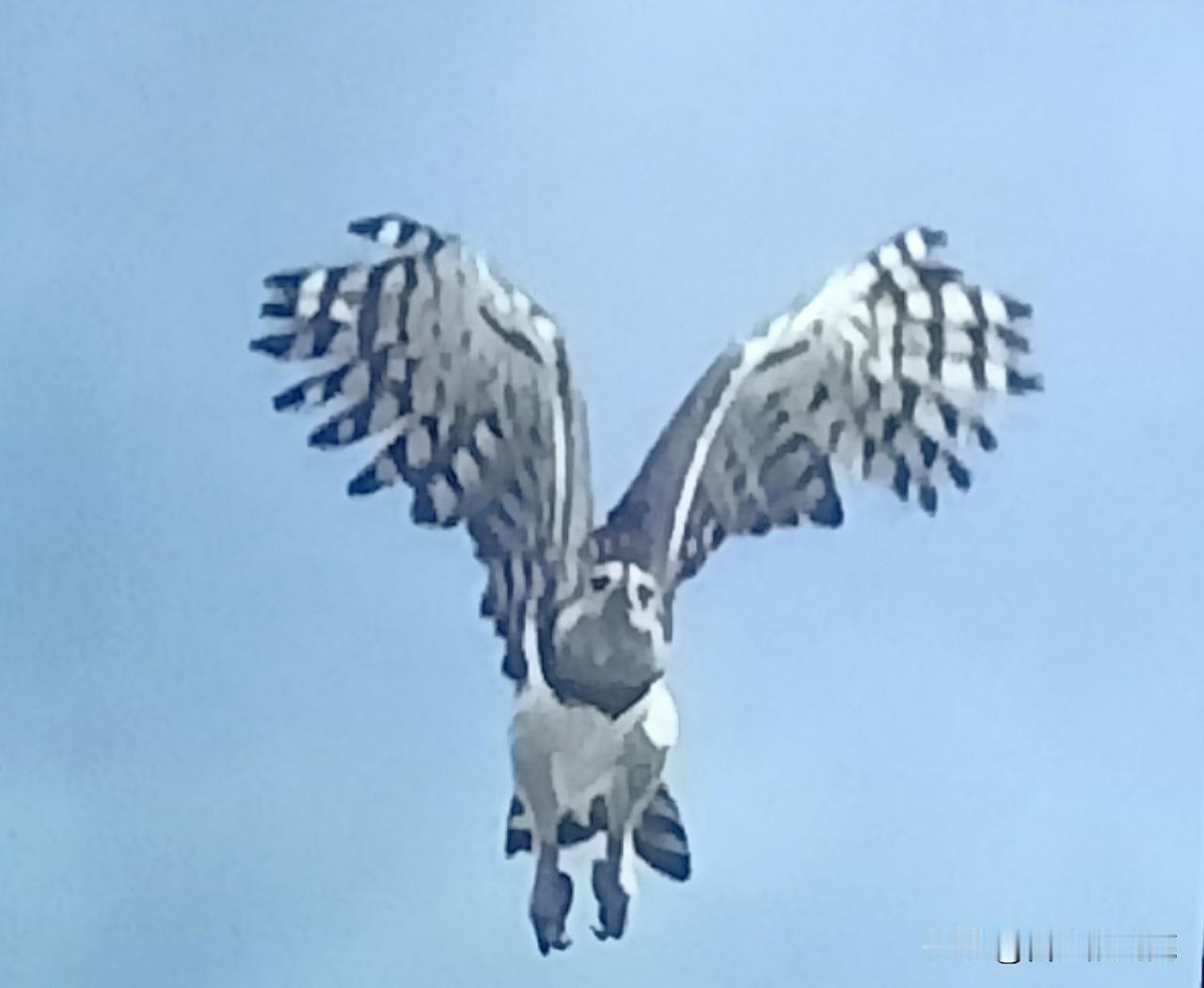 我忽然惊觉，身上要是有块疤痕，只要自己双手够得着，老是想去摸它，如果上面有痂，就