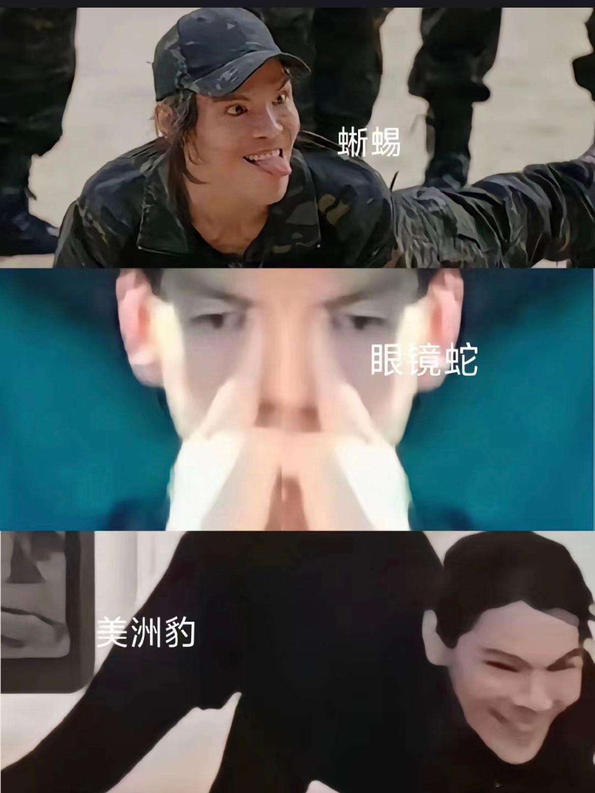 向佐：能逗你们开心的人不多了[doge] ​​​