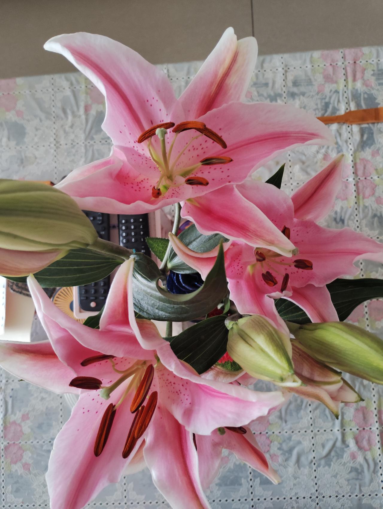 一个人光有学历，而不具备专业的工作能力，他是很难胜任自己工作的。