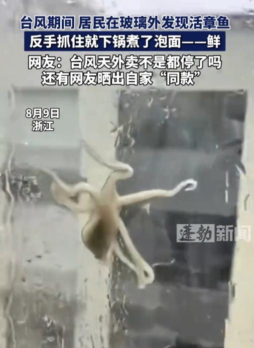 万万没想到！浙江，台风来袭后男子在家中休息，突然看到四楼的玻璃上有个东西，离近一