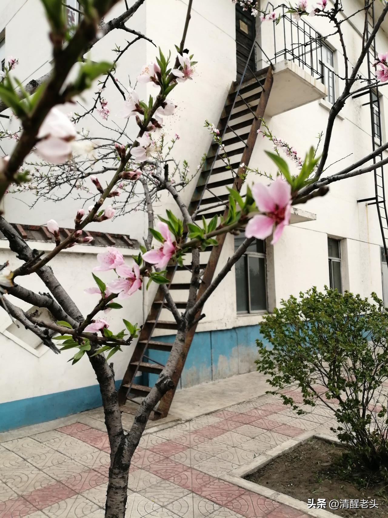 凌晨一两点，多少人还在被窝里亮着手机

刷到一句话，笑完沉默了：“打工人最纠结两