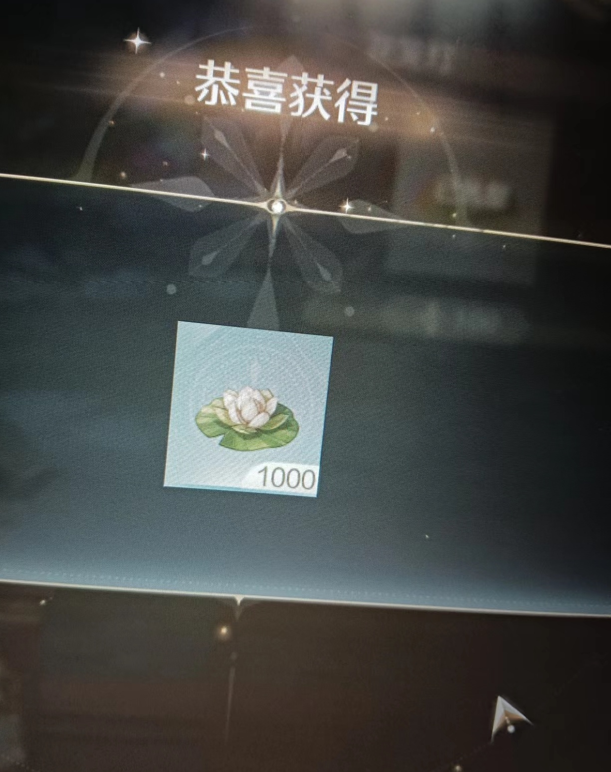 没人告诉我花灯限时啊😦没看清楚直接买了全部，一千个……感觉能从花愿镇放到微风绿