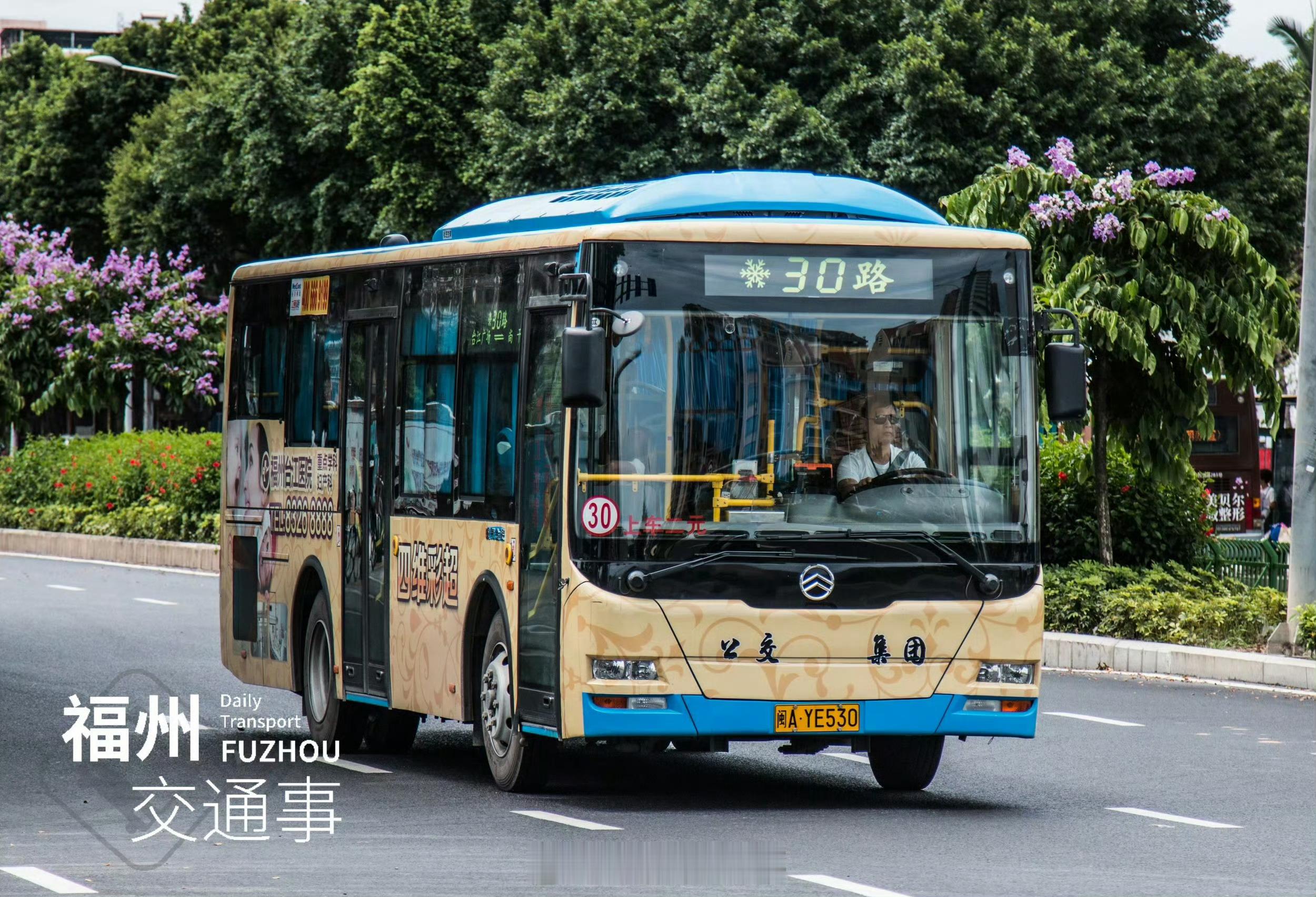 福州公交资讯 【30路、31路增加停靠站点】为方便群众出行，自2026年8月17