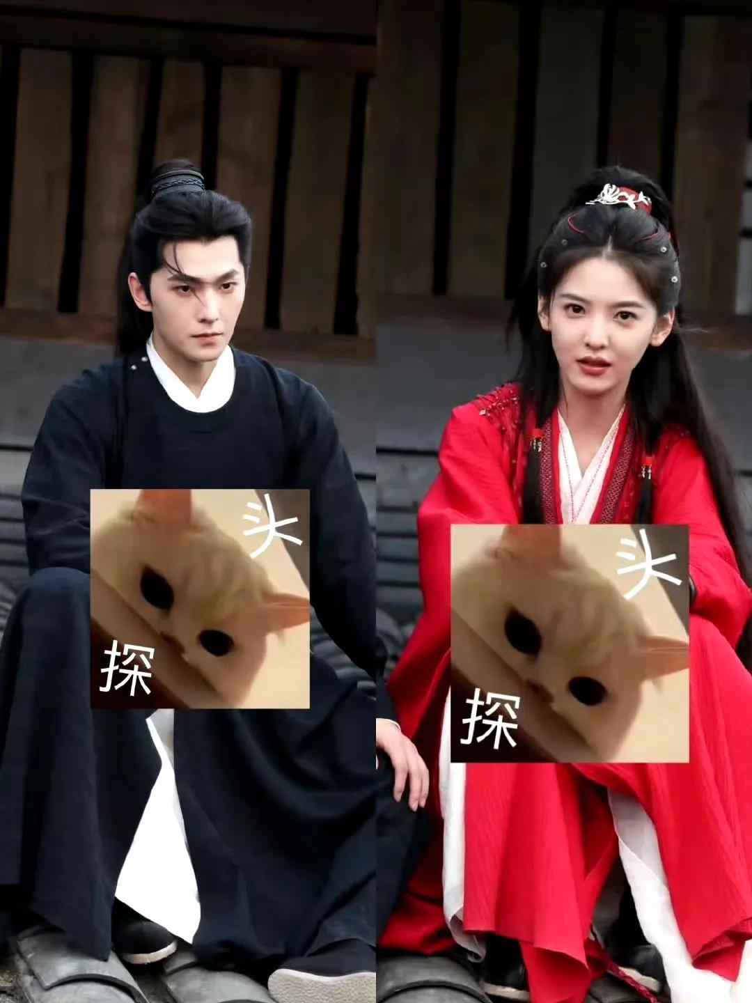 #男主比女主漂亮# #历史第一次# #你们觉得呢#