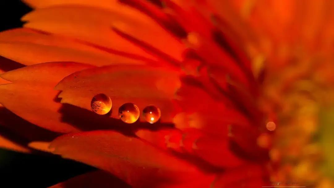 4月21号，处女座终于等到终审结果：职称、合同、情感承诺，悬了半年的事一口气落地