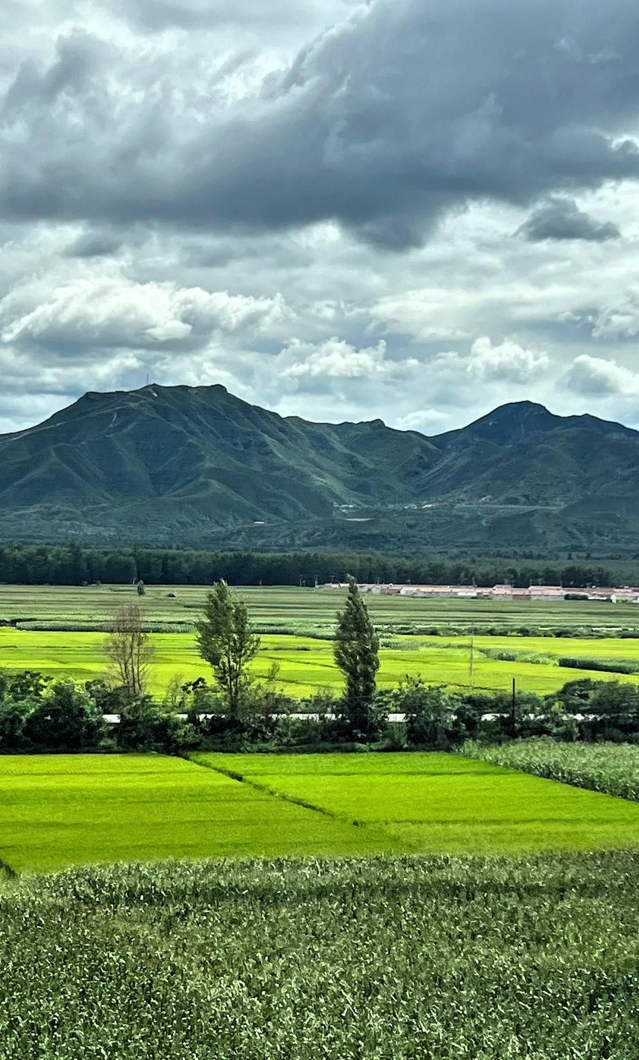 分享你随手拍的风景