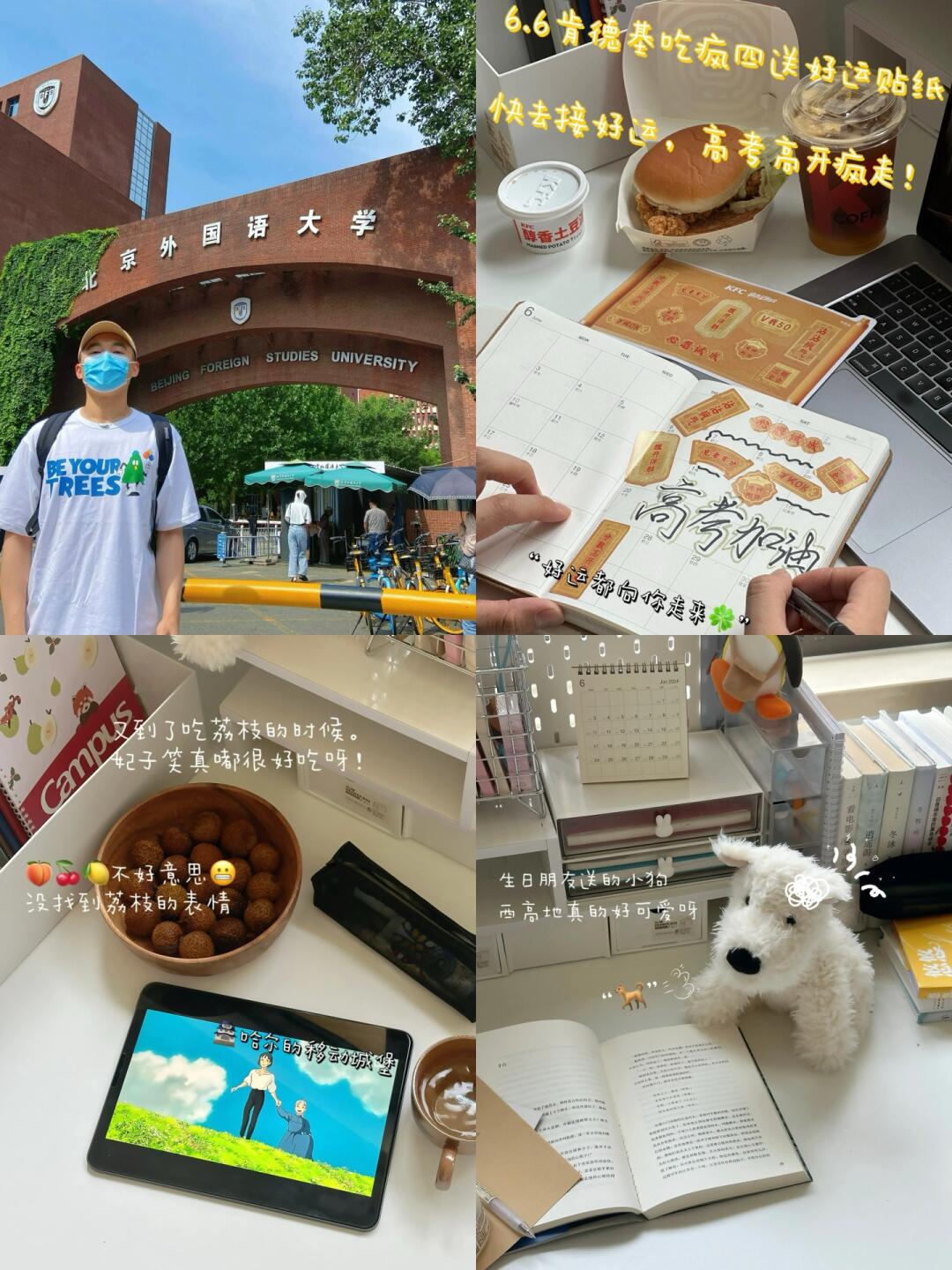 北外毕业后才意识到：高考成功是乌托邦