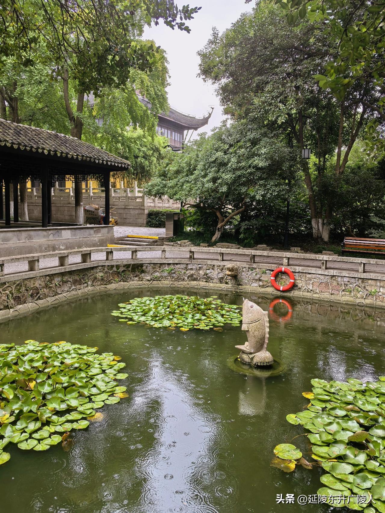 三伏天中难得的清凉，化龙池边长廊下，看细雨落池，池中开起朵朵水花。