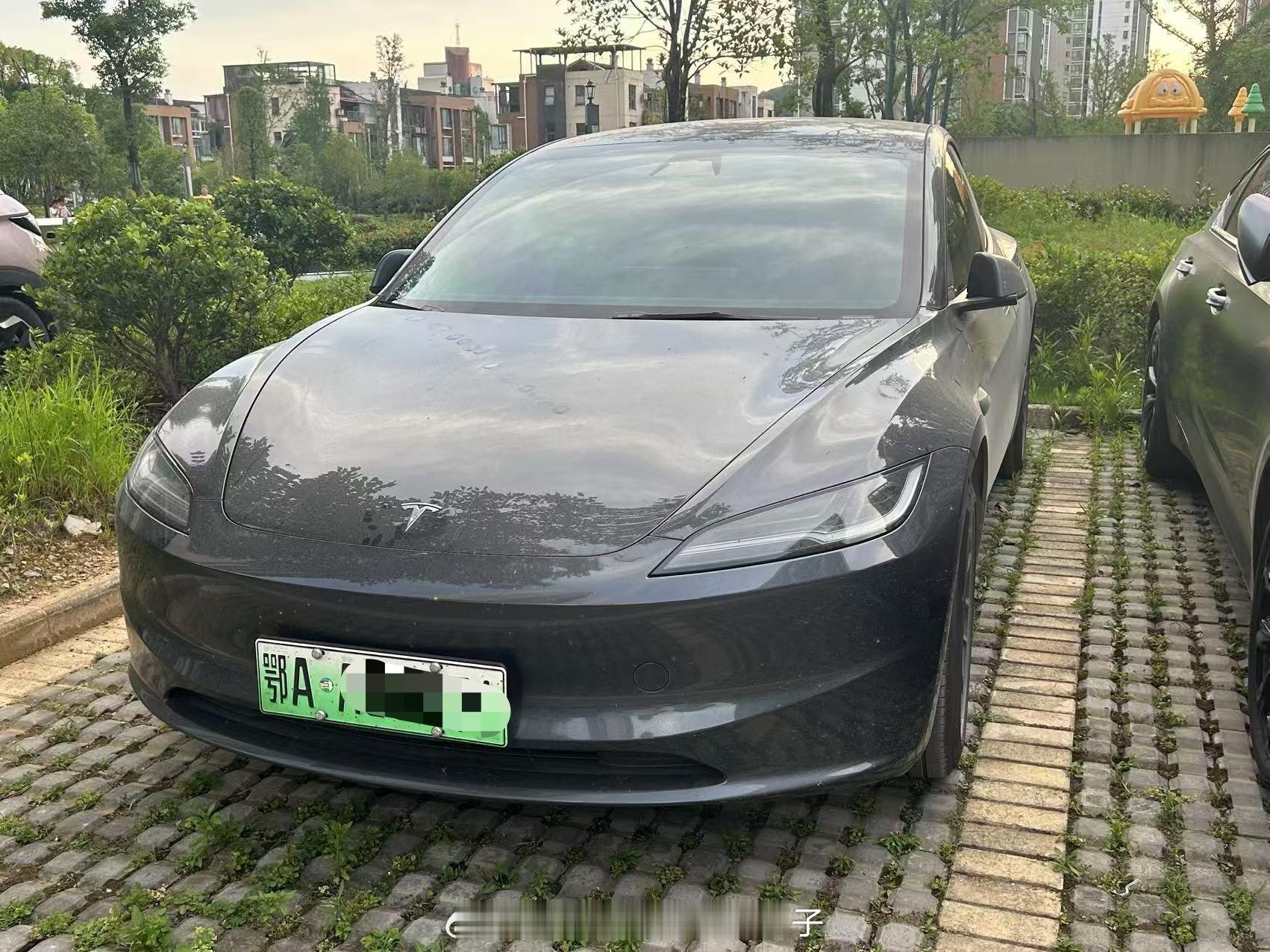 买下湖北网友24年12月29号特斯拉Model 3长续航6000公里！！！个人一
