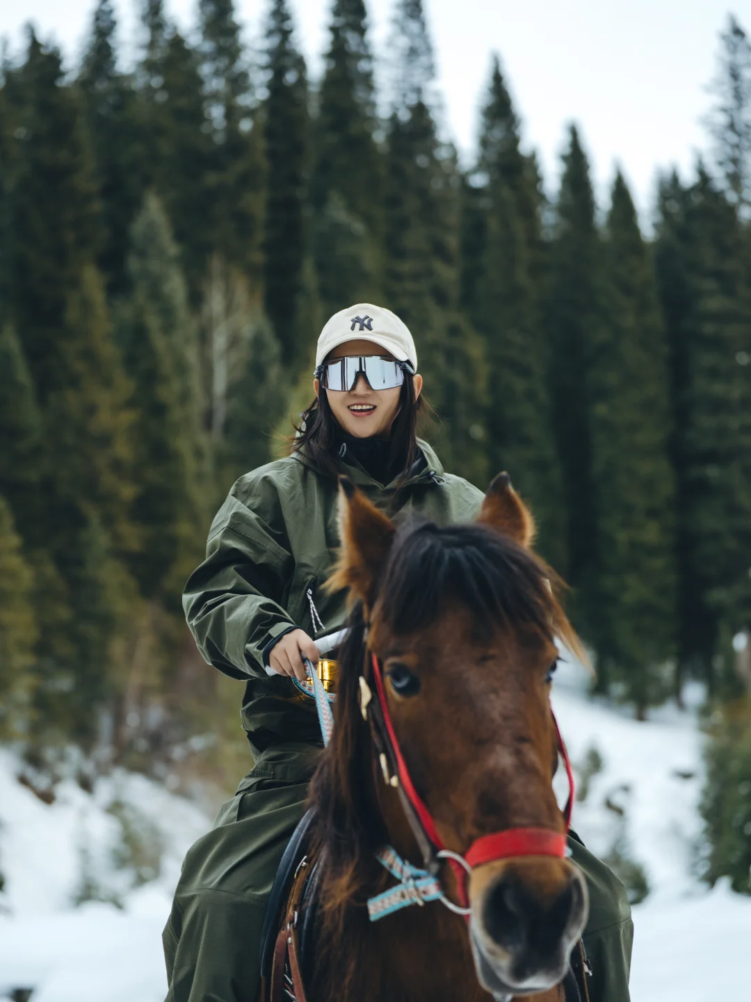谁懂｜在伊宁见到库尔德宁雪岭云杉的激动