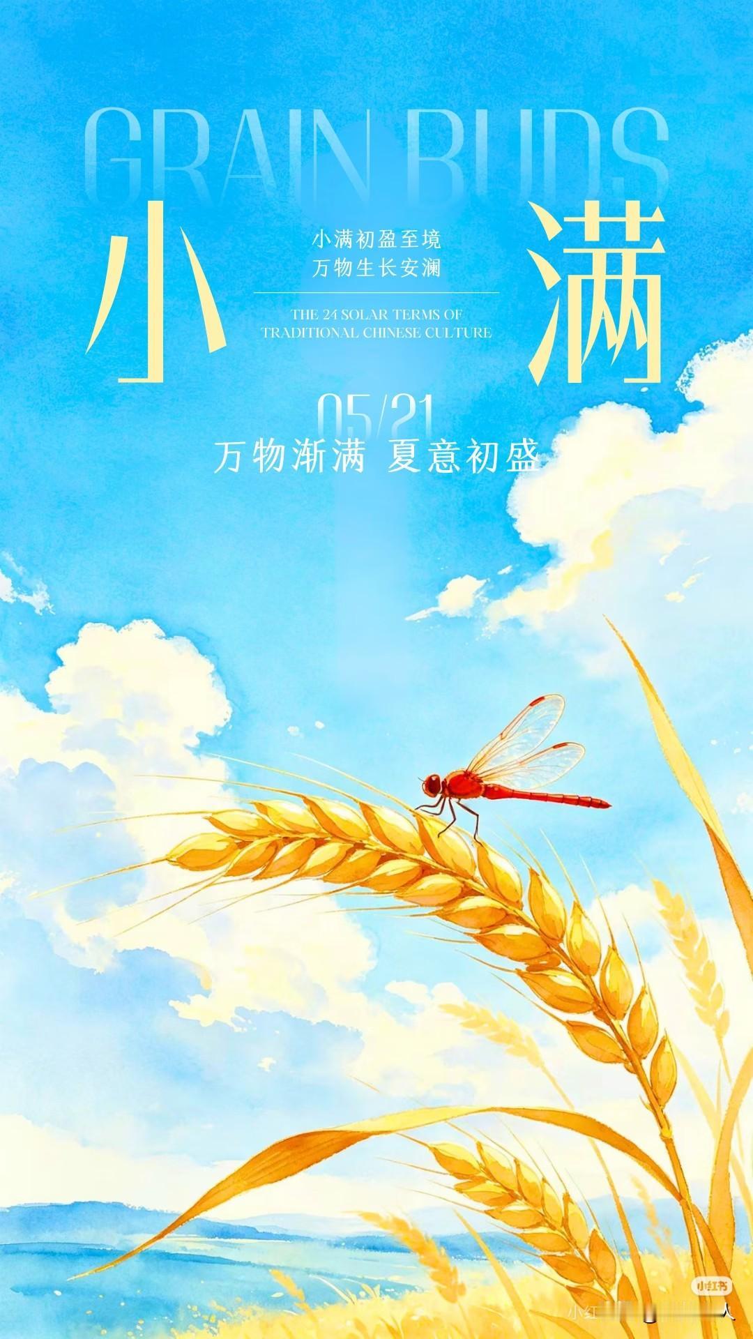 万物渐满，万物初盛