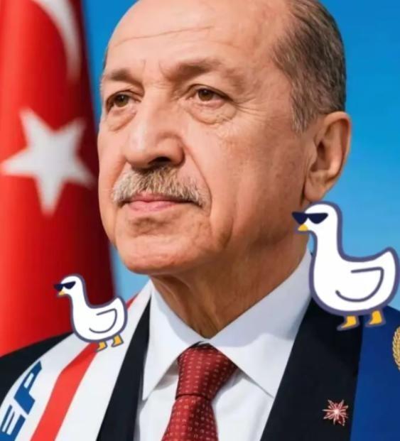 土耳其这次可真算盘打得响，以为重施故伎，就能像20多年前卡着海峡要价那样，让中国