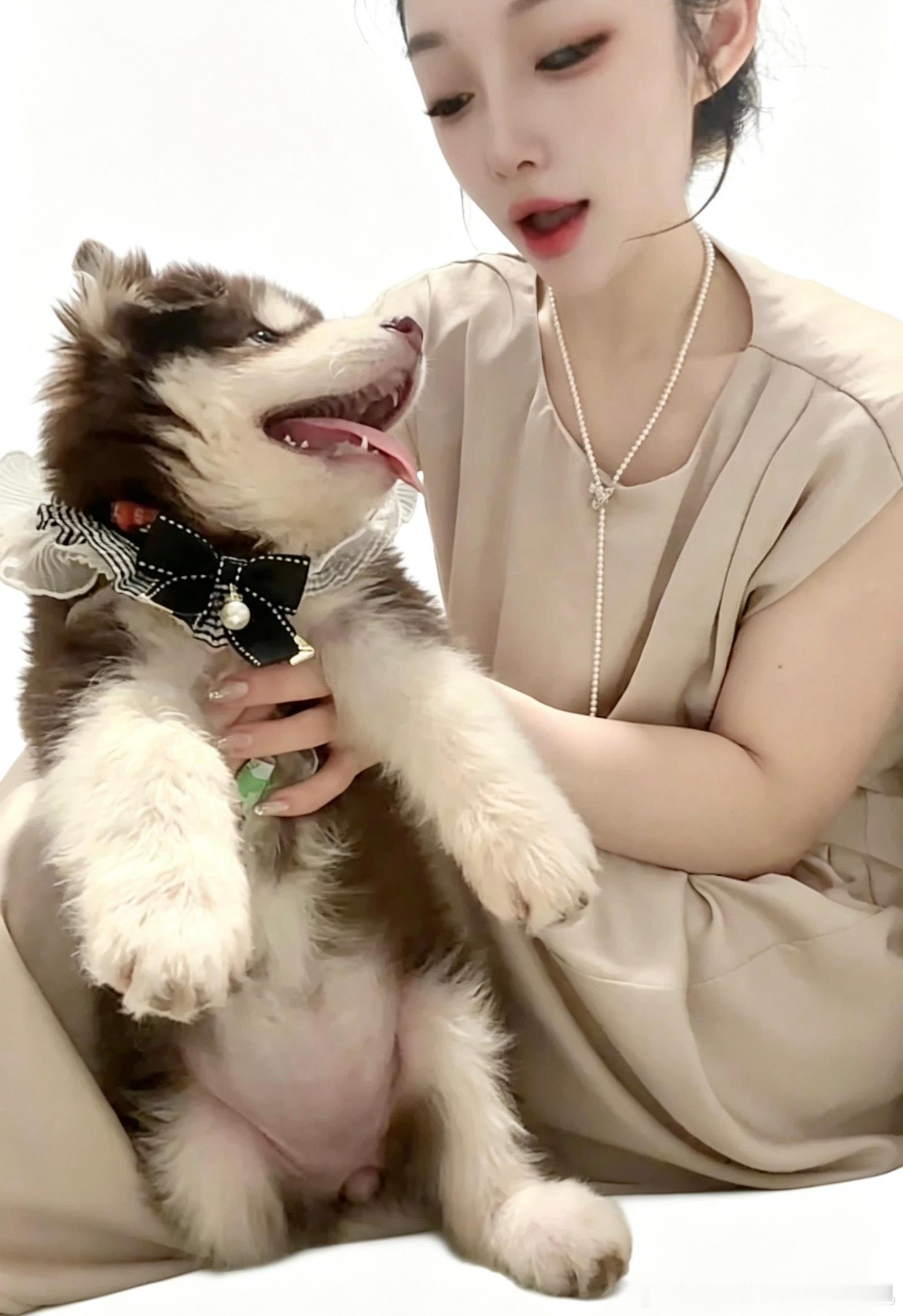谁能拒绝软萌小狗呢🐶带出门社交毫无压力👌 漯河·沙澧河风景区