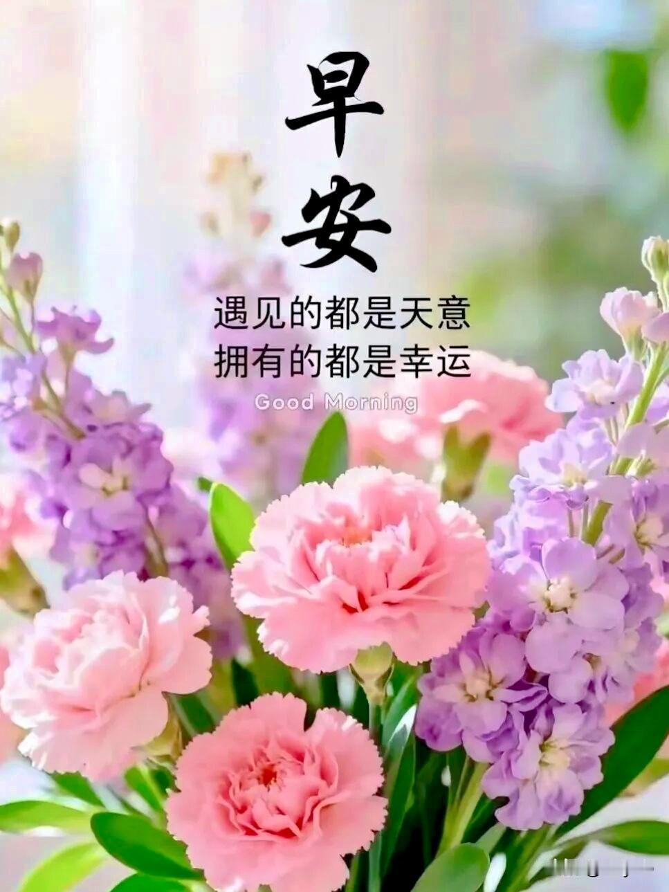 感恩今生有幸相逢，珍藏每日暖心祝福。丰盈岁月里，友情岁岁不曾淡忘；清宁晨光中，问