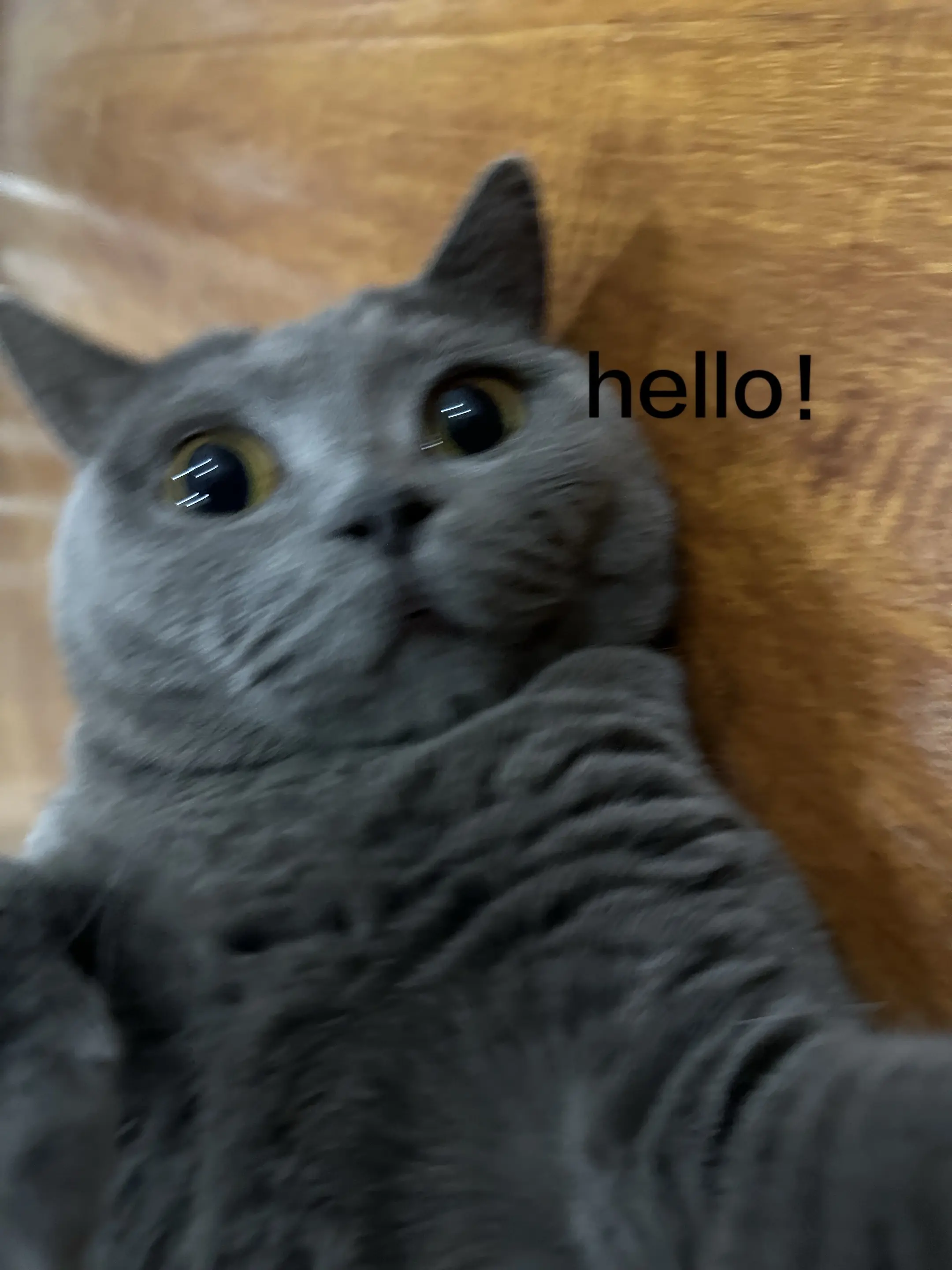 hello！