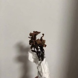 师姐读史鉴