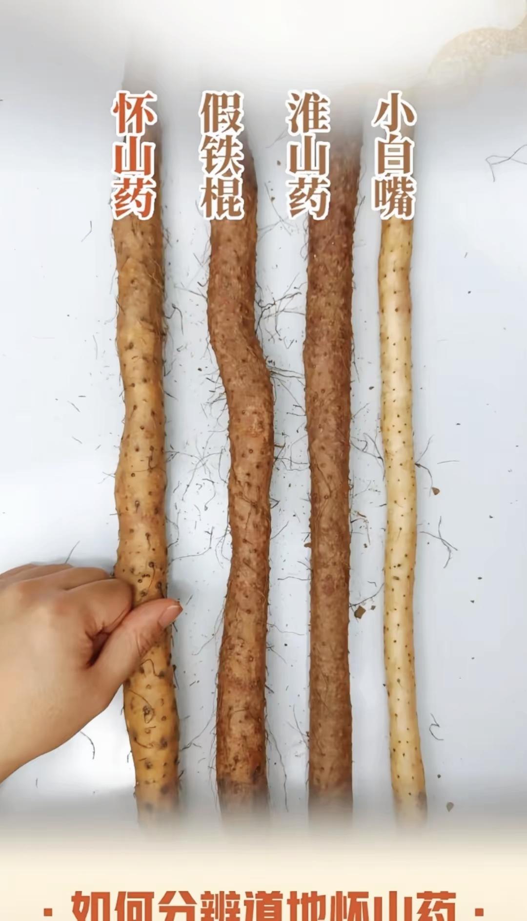 买山药别被忽悠！4种山药对比，看懂再买不吃亏

食材科普 买菜避坑