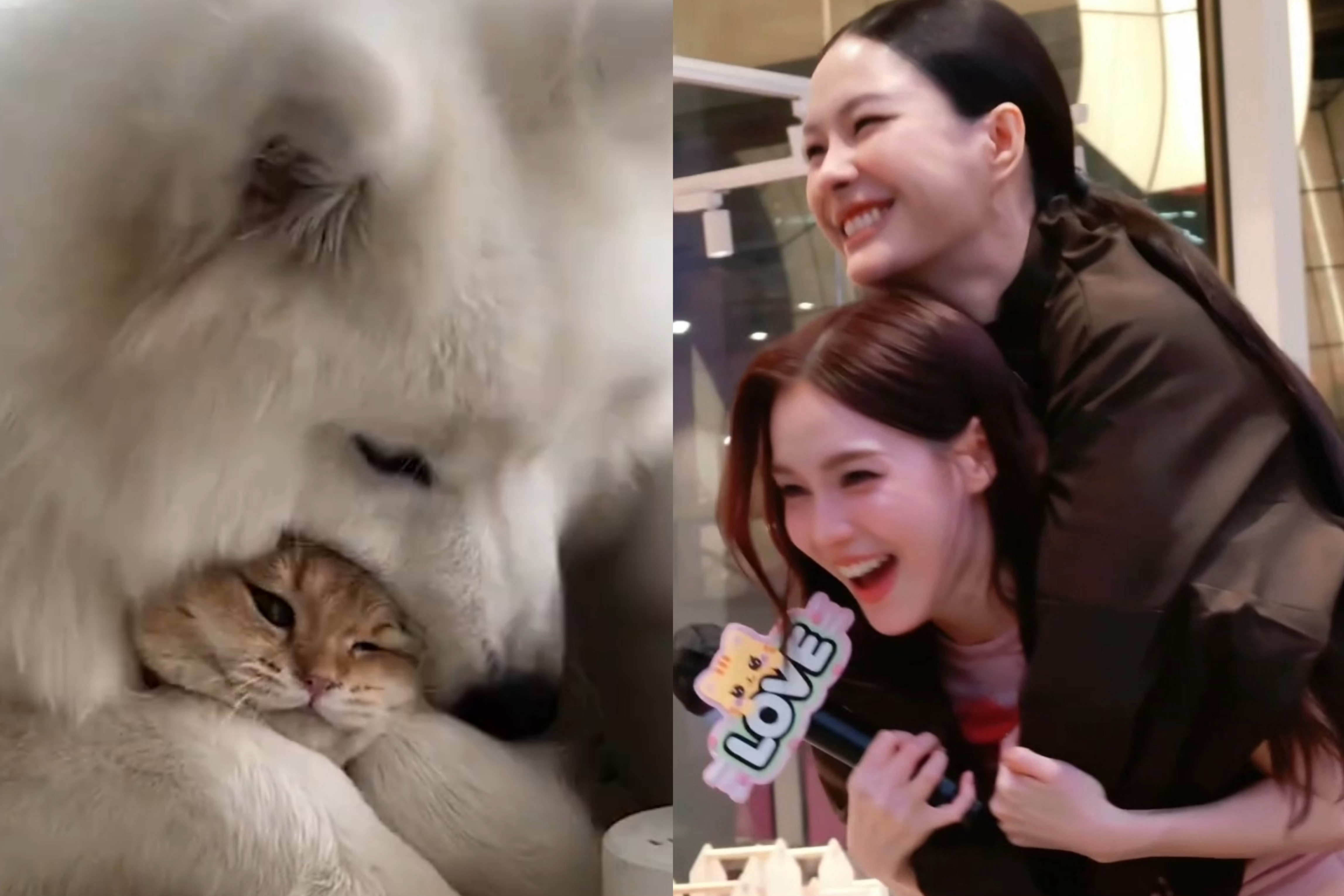 嘿嘿😁 