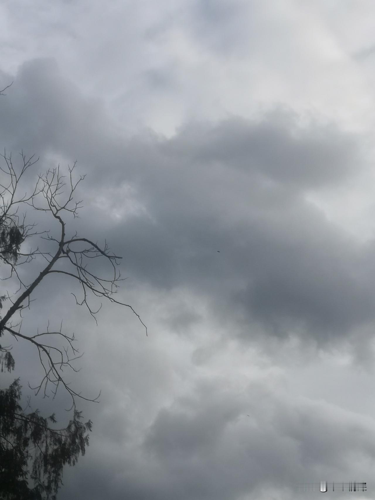 老友看天气，中江县冯店片区从这张图片中可以看到，天空有云彩在天上移动着，今天早晨