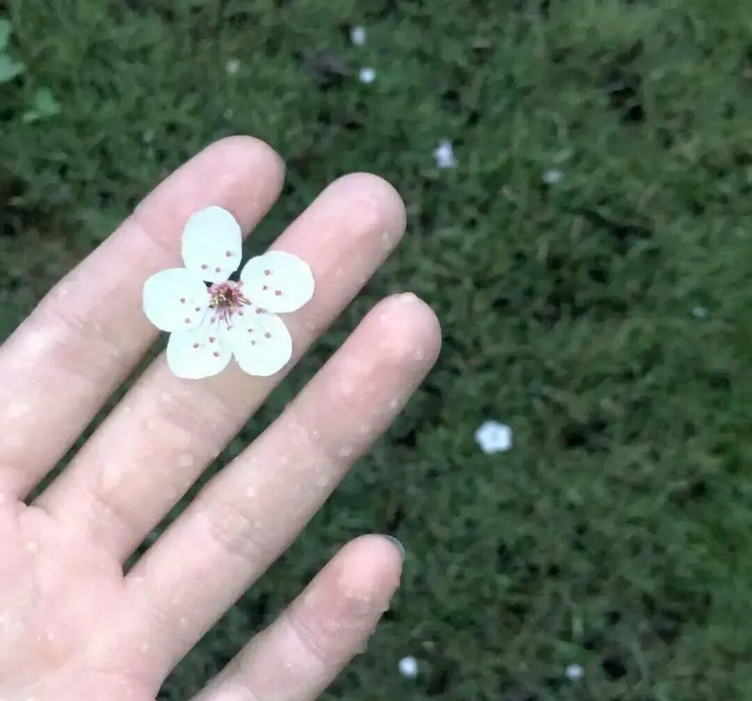🫀 𝐋𝐨𝐯𝐞 𝐘𝐨𝐮𝐫𝐬𝐞𝐥𝐟 ⊹ 世界太多声音 唯独