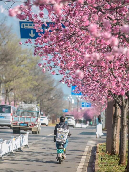 在云南！我找到了理想中的亲子旅行地！