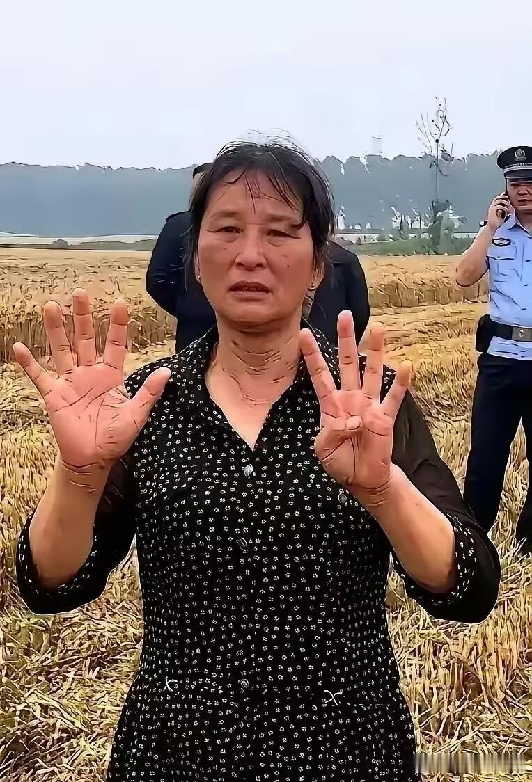 襄阳那场麦收风波，闹到最后，结局比过程更带劲。闹到最后，大妈托侄子，给河南那对小